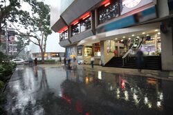 Orchard Towers (D9), Retail #550255271